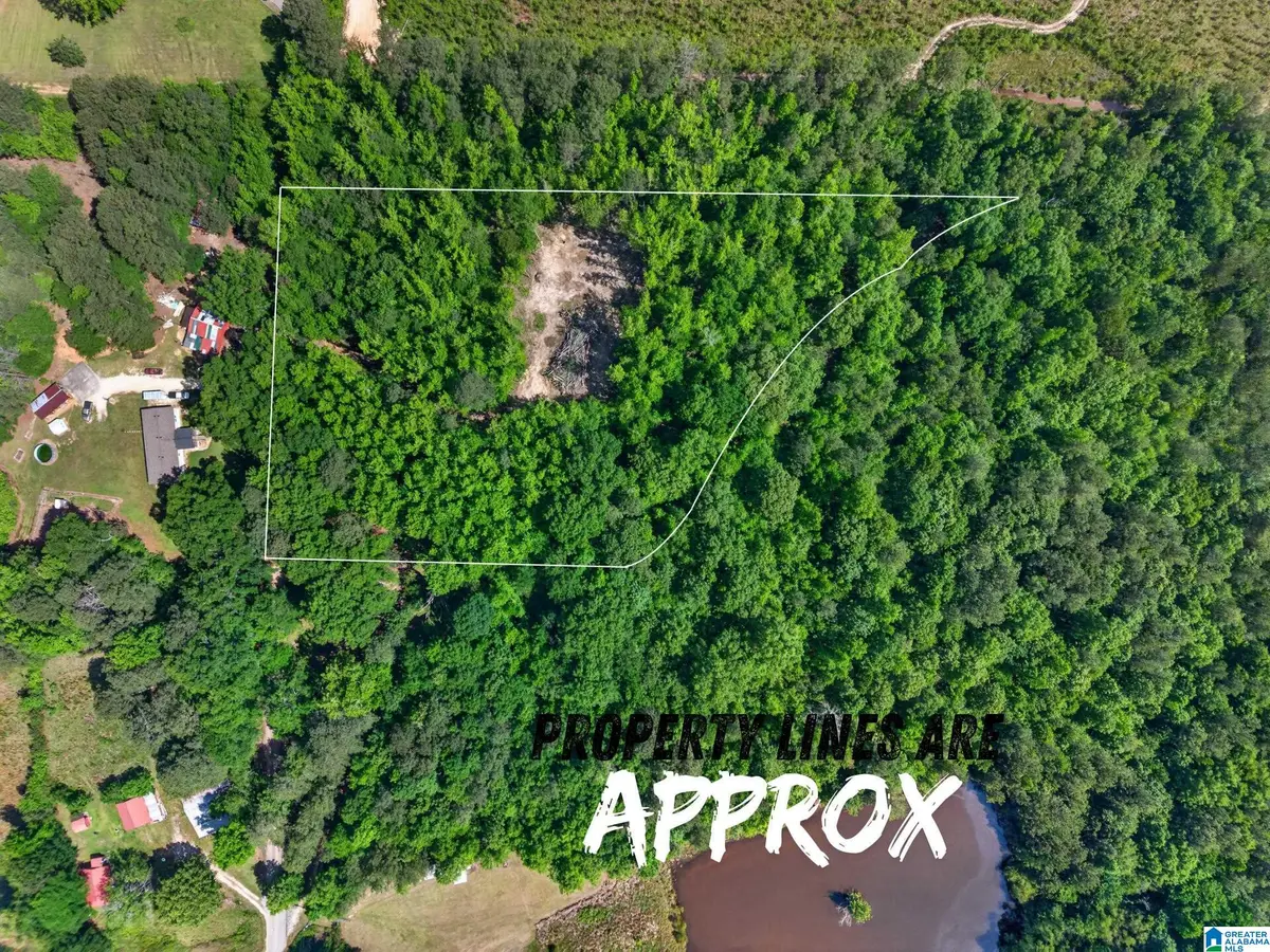0 PRUITT ROAD, Piedmont, AL 36272 - #1