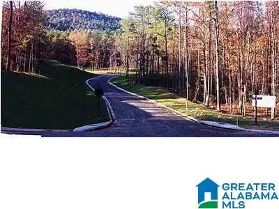 AUTUMN VIEW DRIVE, Chelsea, AL 35147 - #2