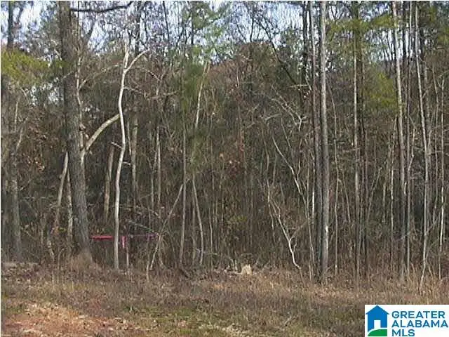 AUTUMN VIEW DRIVE, Chelsea, AL 35147 - #3