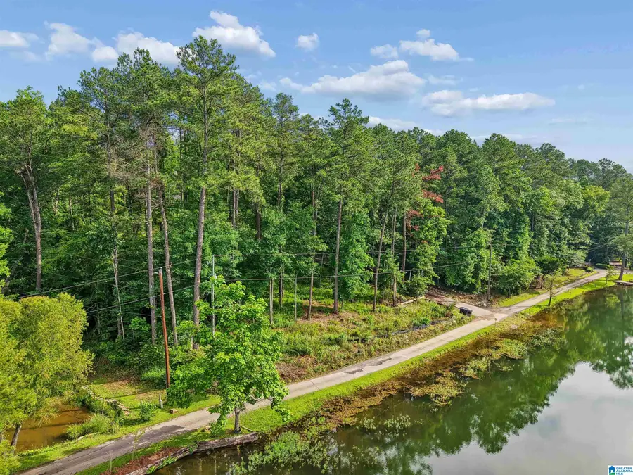 526 CAHABA SPRINGS DRIVE, Trussville, AL 35173 - #2