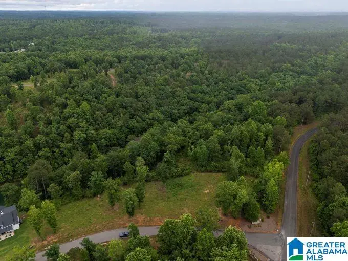 00 COUNTY ROAD 14, Bremen, AL 35033 - #3