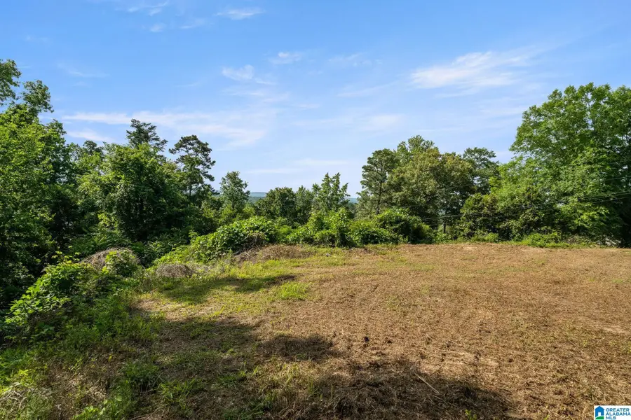 369 VESCLUB DRIVE, Vestavia Hills, AL 35216 - #3