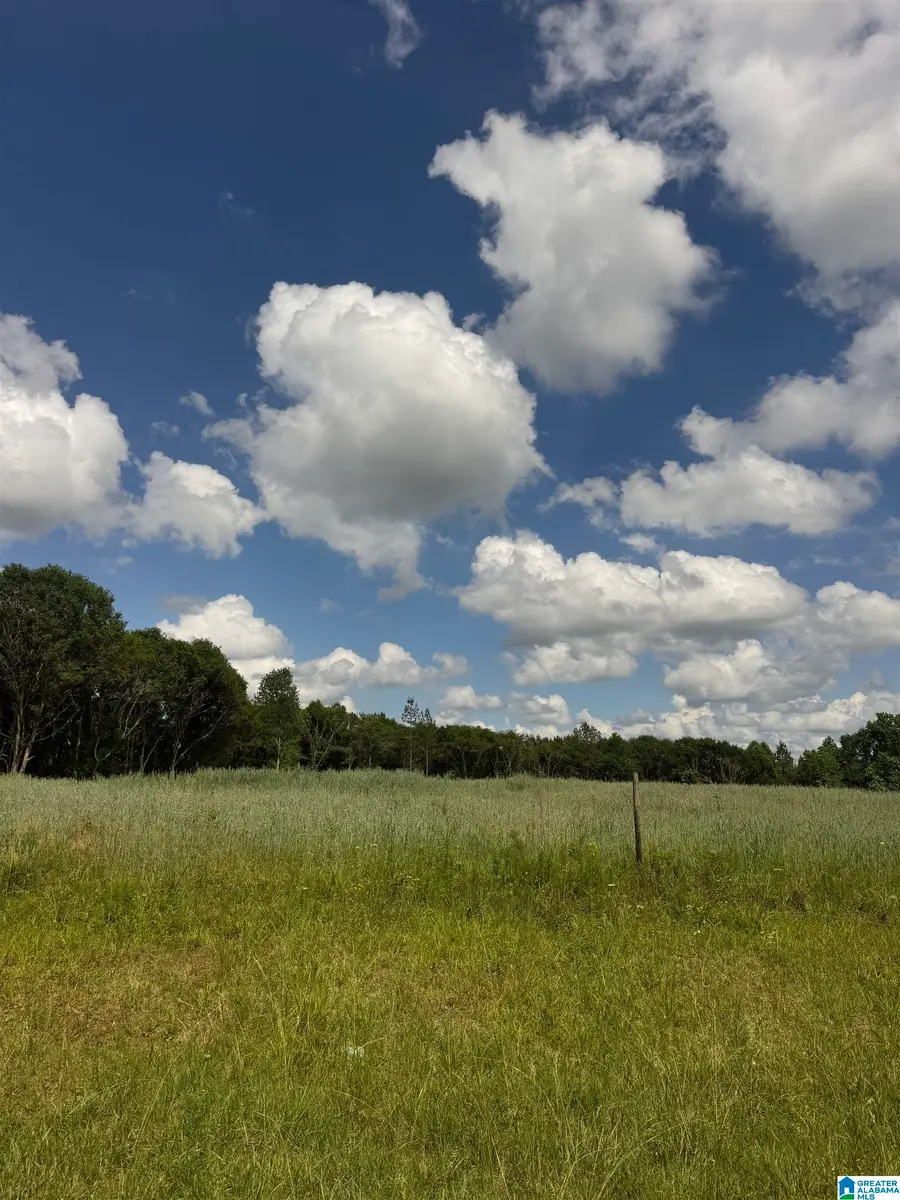 0 COUNTY ROAD 432, Woodland, AL 36280 - #2