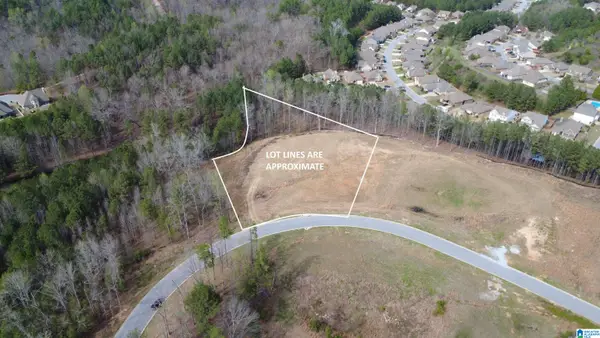 335 FOOTHILLS PLACE, Chelsea, AL 35043