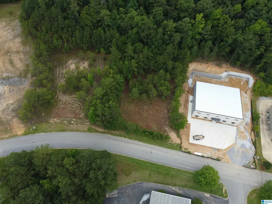 171 APPLEGATE LANE, Pelham, AL 35124 - #2