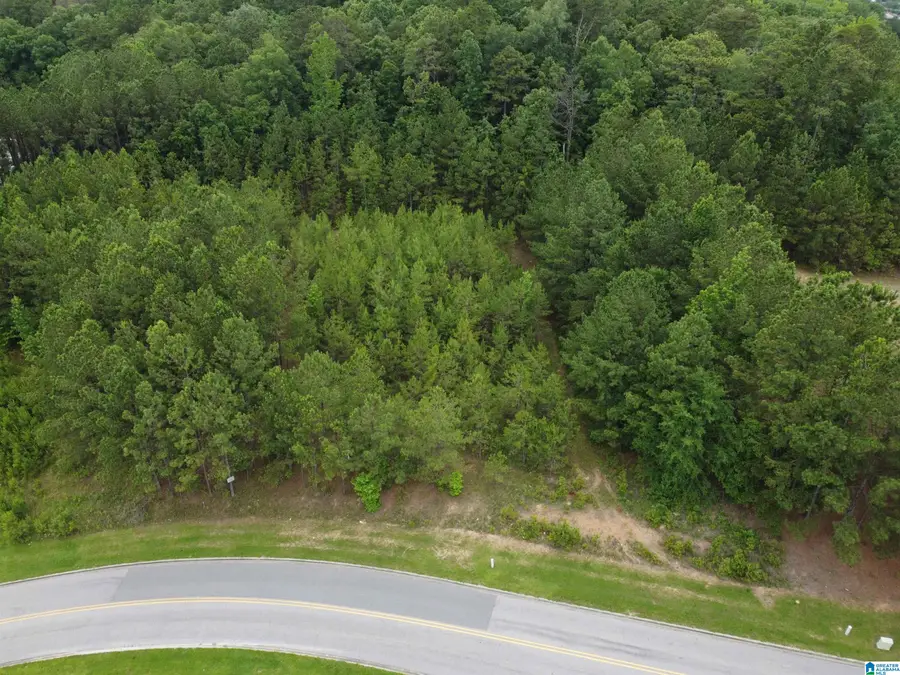 340 APPLEGATE PARKWAY, Pelham, AL 35124 - #2
