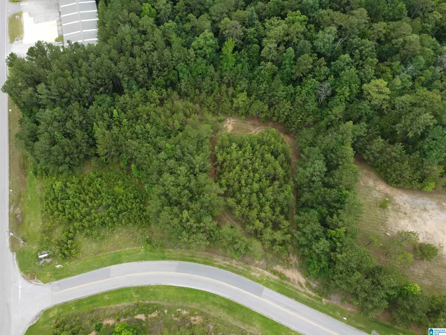 360 APPLEGATE PARKWAY, Pelham, AL 35124 - #2