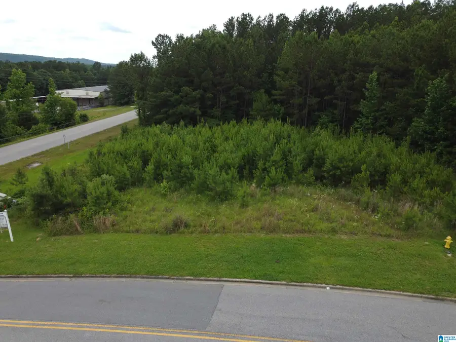 360 APPLEGATE PARKWAY, Pelham, AL 35124 - #3