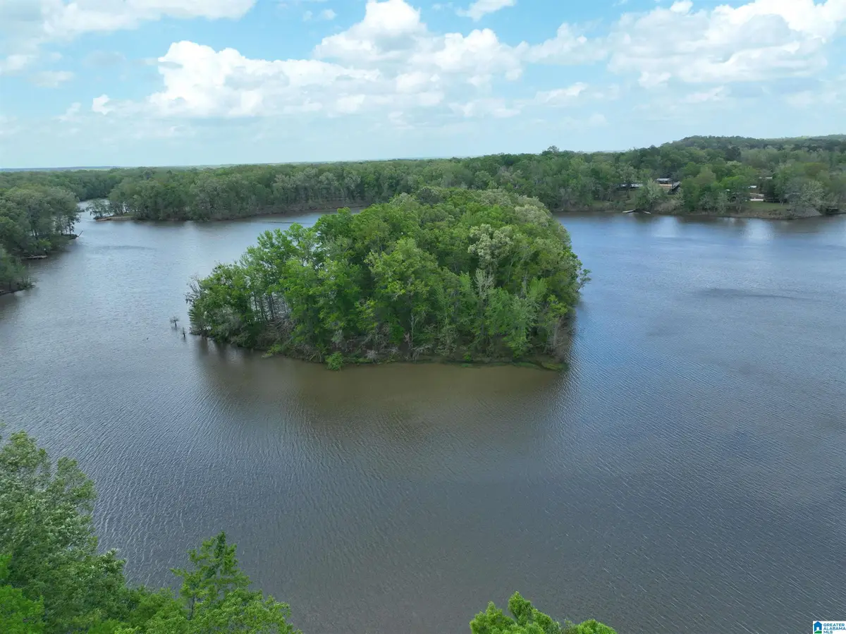 0 COUNTY ROAD 225, Minter, AL 36761 - #1