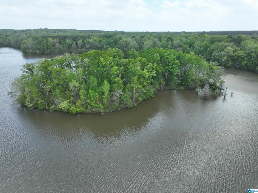 0 COUNTY ROAD 225, Minter, AL 36761 - #2