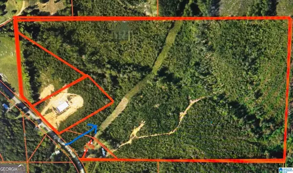 0 COUNTY ROAD 49, Muscadine, AL 36269