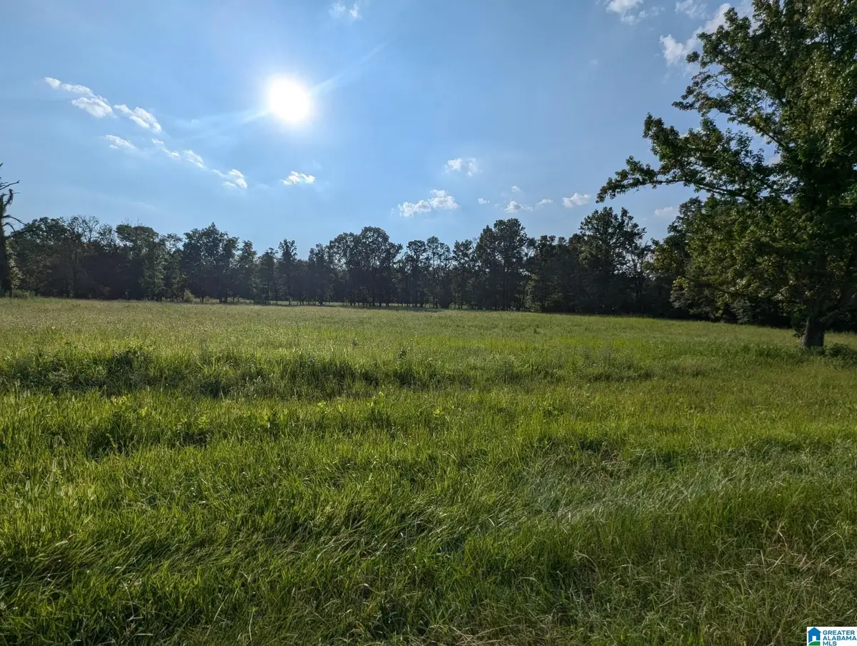 0 POPLAR SPRINGS ROAD, Ashville, AL 35173 - #1
