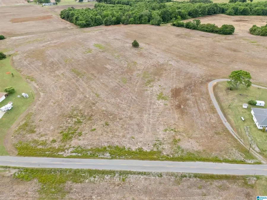 495 COUNTY ROAD 29, Piedmont, AL 36272 - #3