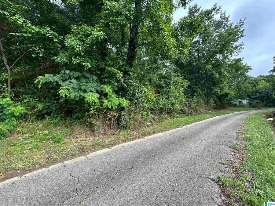 150 BEAVER STREET, Bessemer, AL 35023 - #2