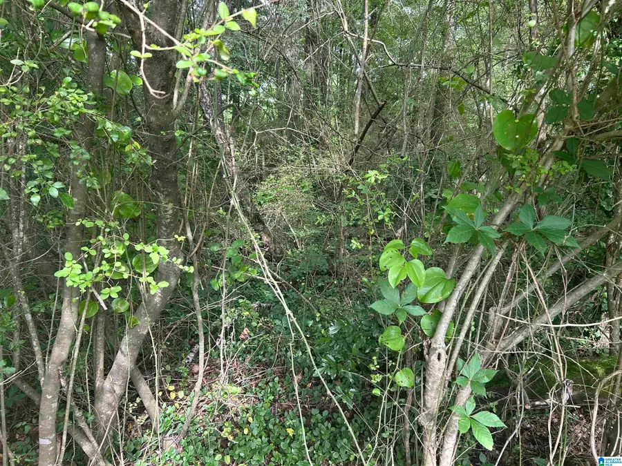 150 BEAVER STREET, Bessemer, AL 35023 - #3