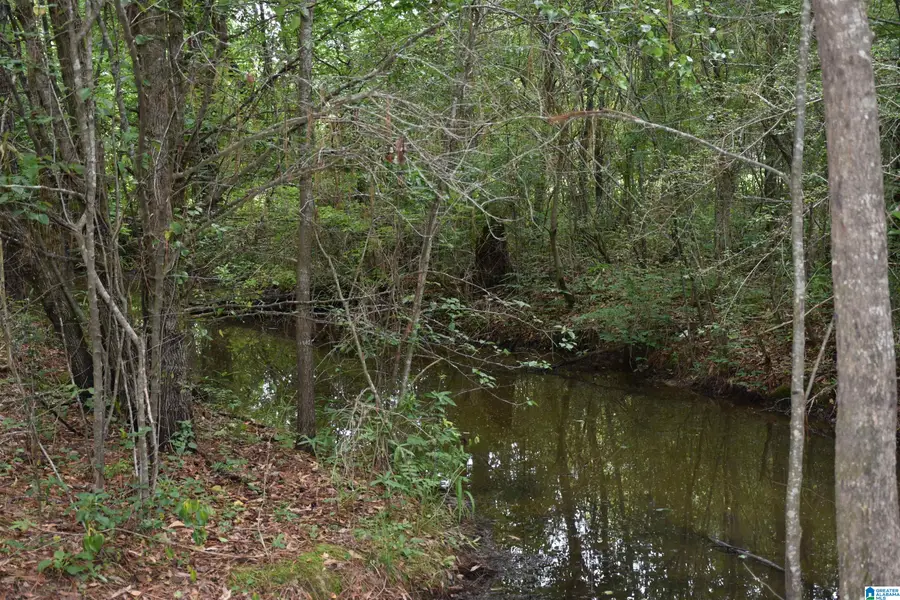 0 MARBLE CITY HEIGHTS CIRCLE, Sylacauga, AL 35150 - #2