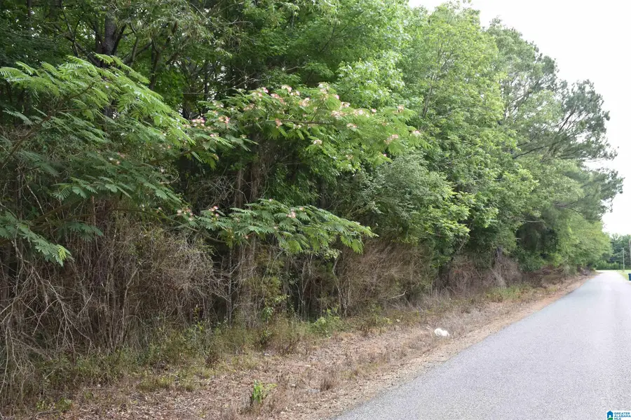 0 MARBLE CITY HEIGHTS CIRCLE, Sylacauga, AL 35150 - #3