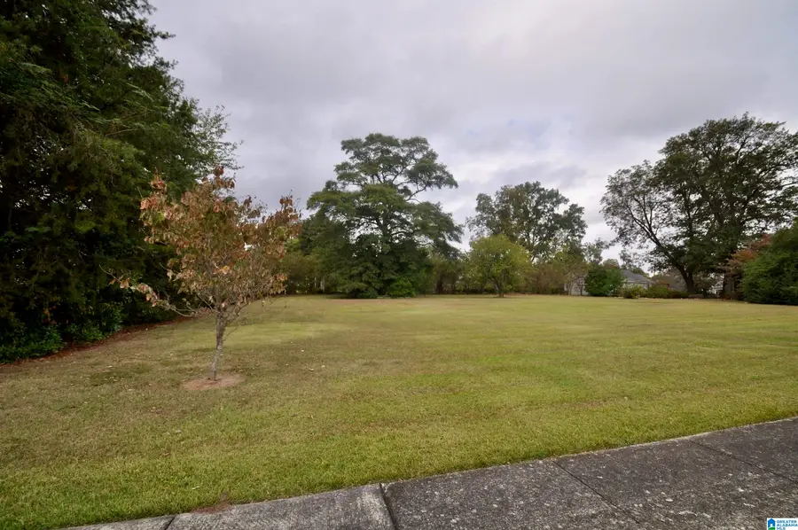LOT 1 SE 5TH AVENUE, Cullman, AL 35055 - #2
