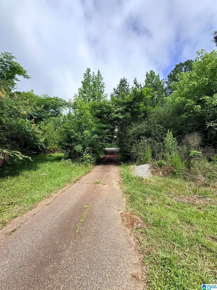 50864 HIGHWAY 22, Wadley, AL 36276 - #2