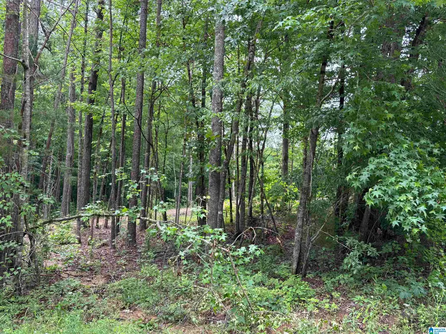 343 COUNTY ROAD 892, Wedowee, AL 36278 - #2