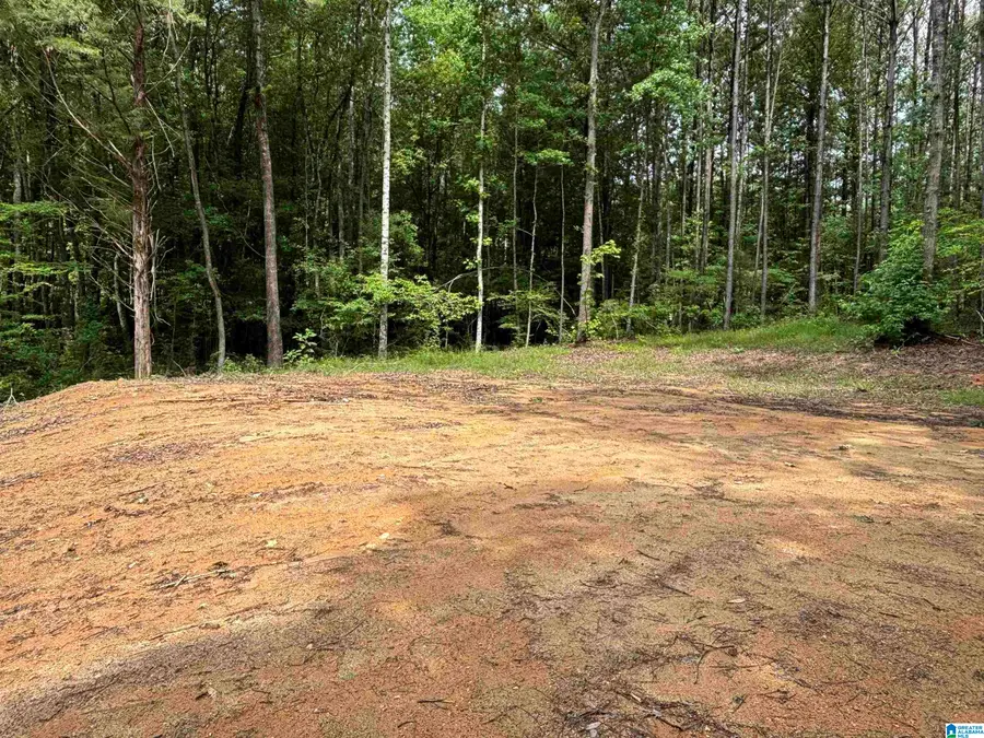 343 COUNTY ROAD 892, Wedowee, AL 36278 - #3