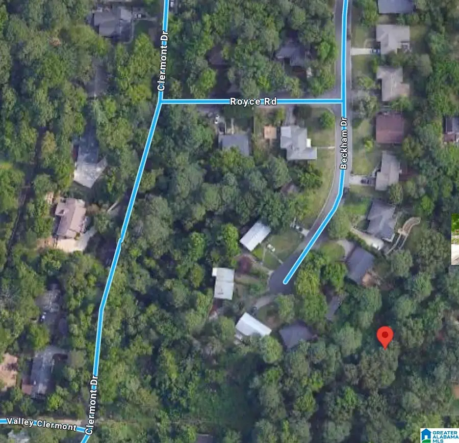 1509 BECKHAM DRIVE, Homewood, AL 35209 - #2