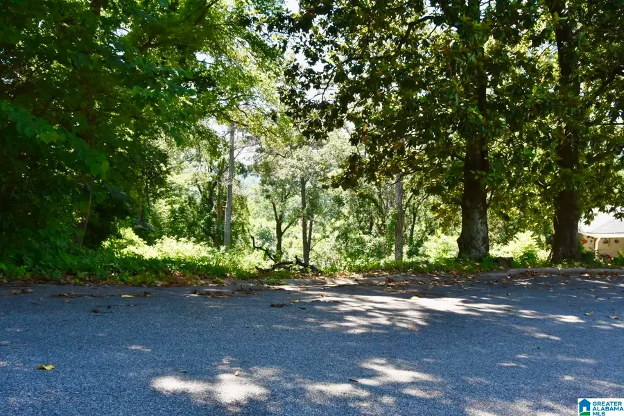 1509 BECKHAM DRIVE, Homewood, AL 35209 - #3