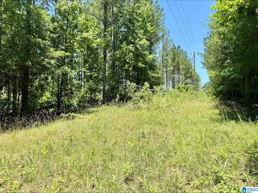 0 COUNTY ROAD 82, Wedowee, AL 36278 - #2