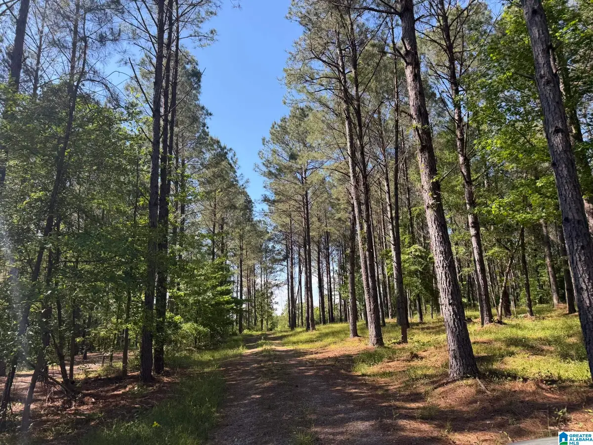 89 GOLDEN POND ROAD, Ashville, AL 35953 - #1