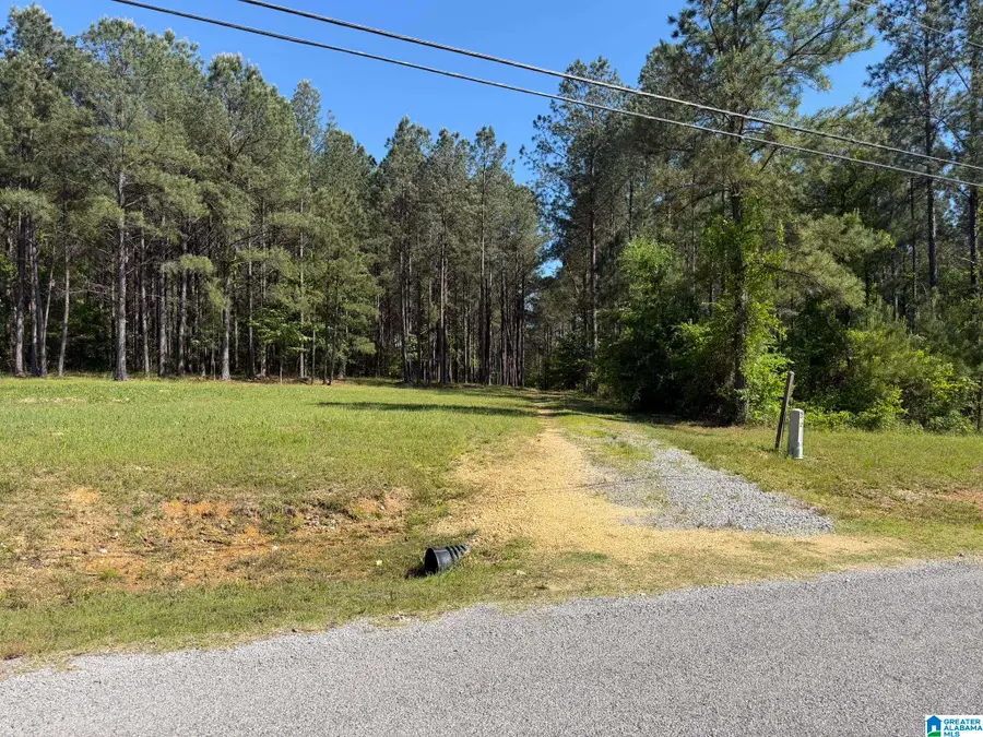 89 GOLDEN POND ROAD, Ashville, AL 35953 - #2
