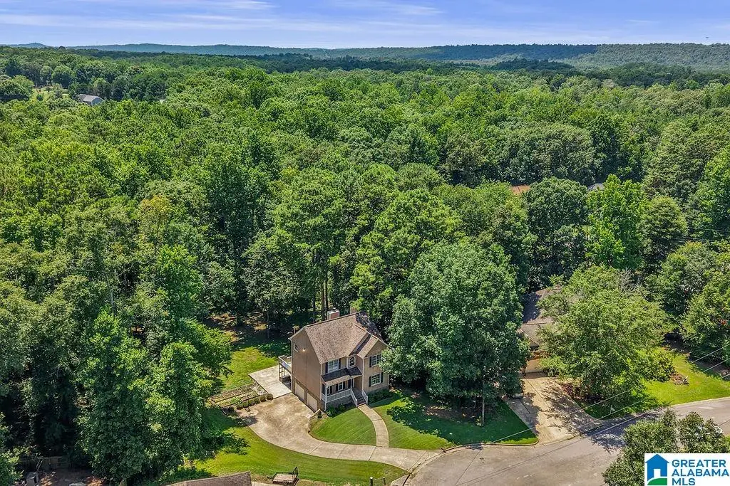 540 HUNTER HILLS WAY, Chelsea, AL 35043 - #1