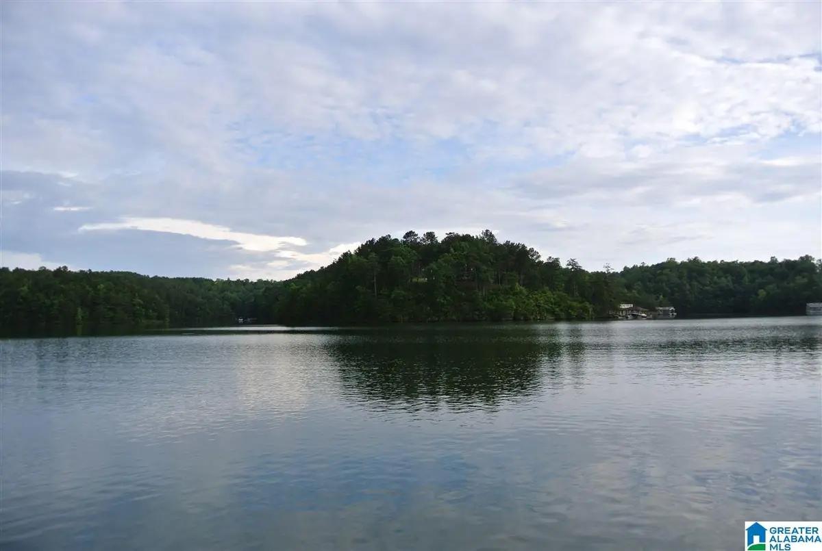 Lot 48 AQUA DRIVE, Wedowee, AL 36278 - #1