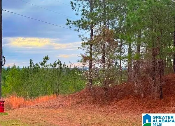 SHORE SIDE LANE, Sylacauga, AL 35151