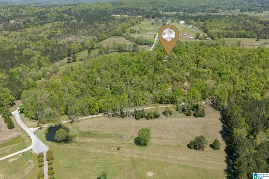 895 POPLAR SPRINGS TRAIL, Ashville, AL 35953 - #2