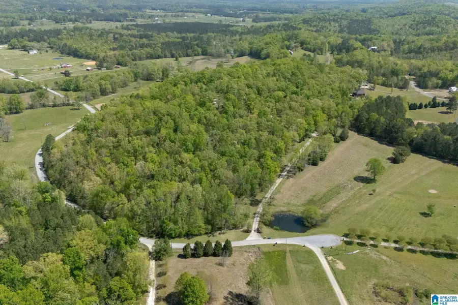 895 POPLAR SPRINGS TRAIL, Ashville, AL 35953 - #3