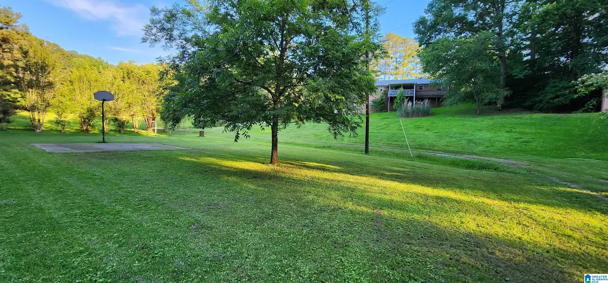 161 HIGHWAY 33, Oneonta, AL 35121 - #1