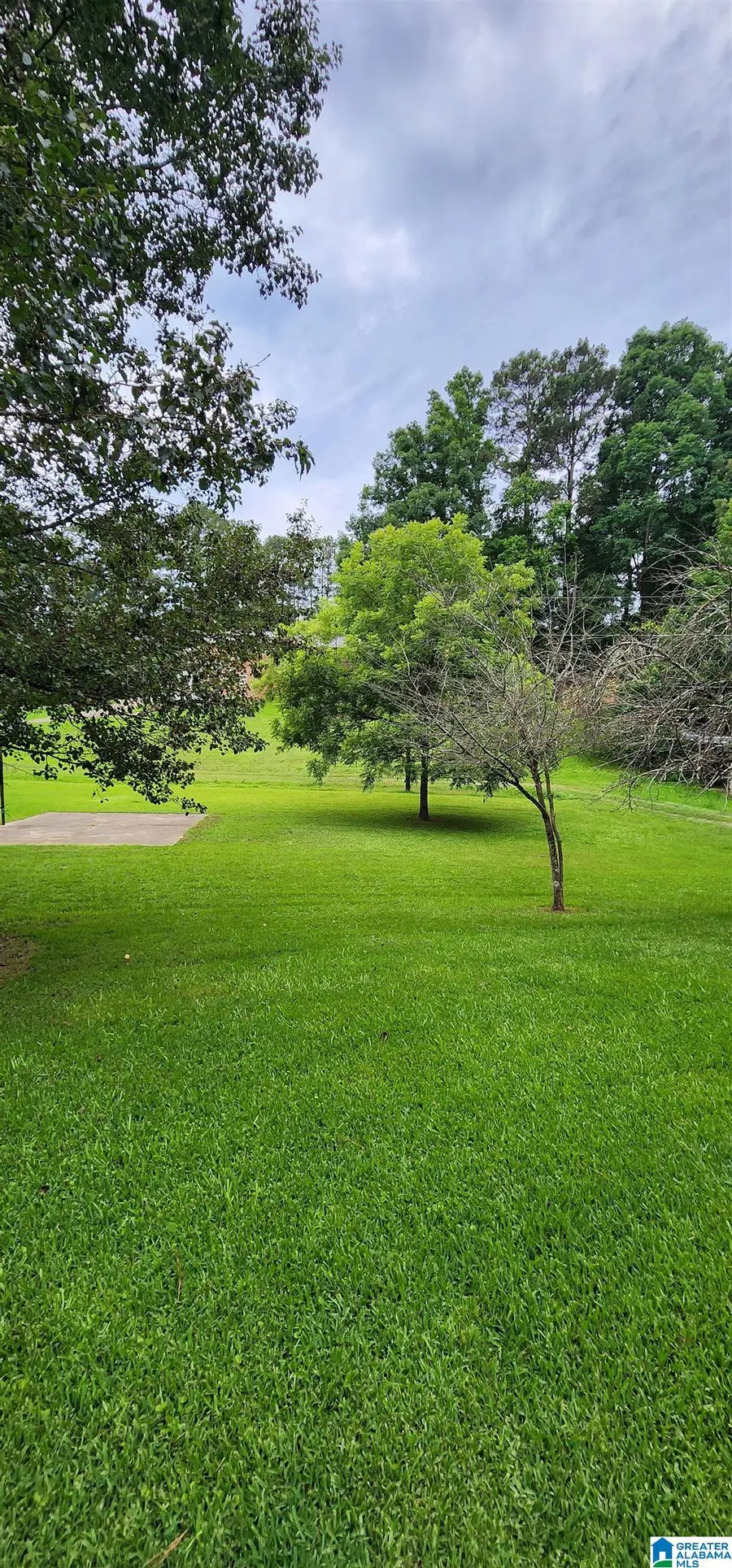 161 HIGHWAY 33, Oneonta, AL 35121 - #2