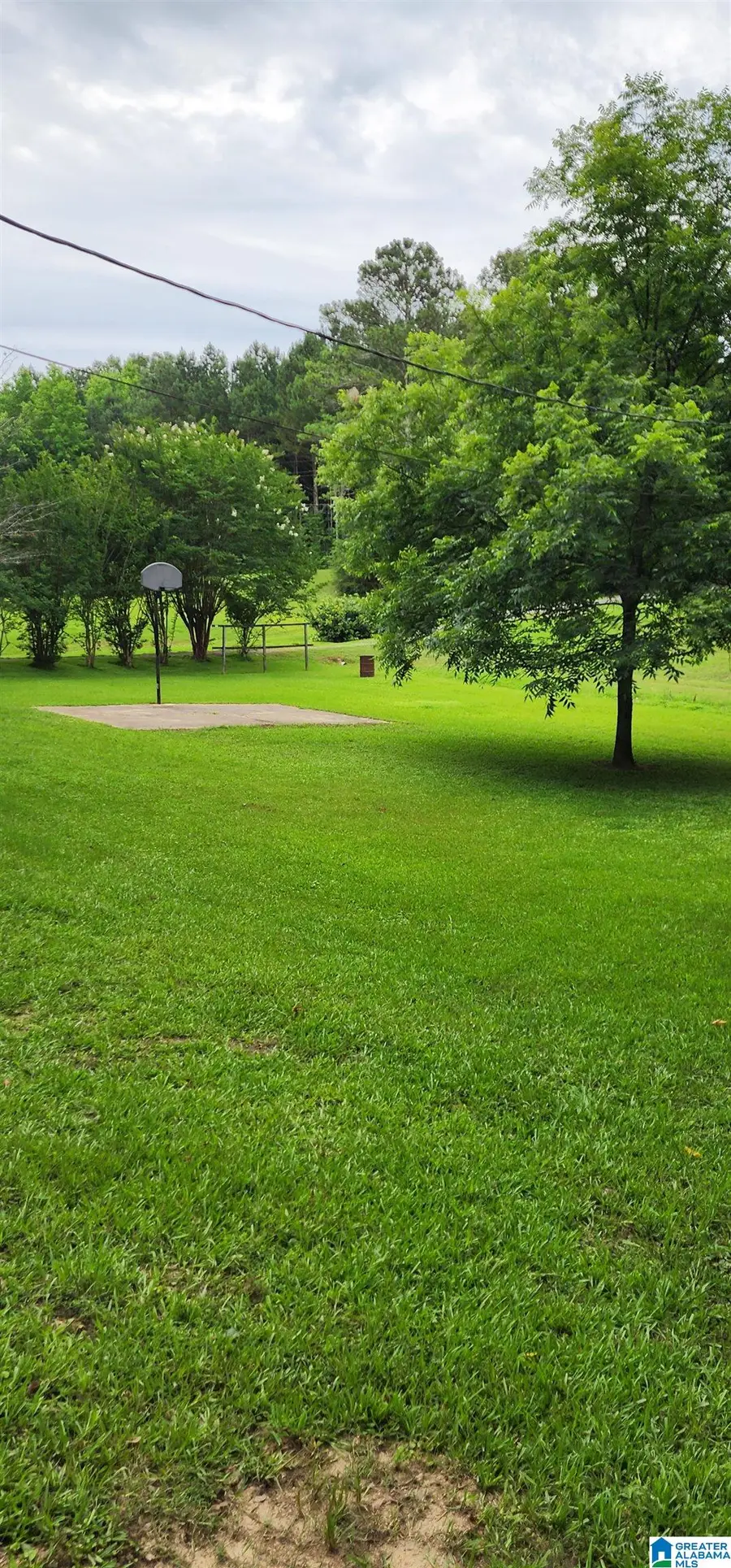 161 HIGHWAY 33, Oneonta, AL 35121 - #3
