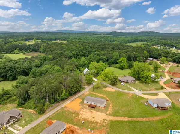 55 S T SMITH COURT, Cropwell, AL 35054