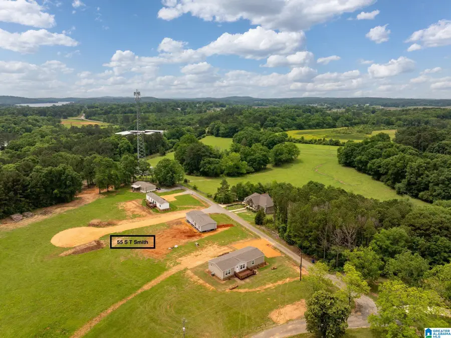 55 S T SMITH COURT, Cropwell, AL 35054 - #2