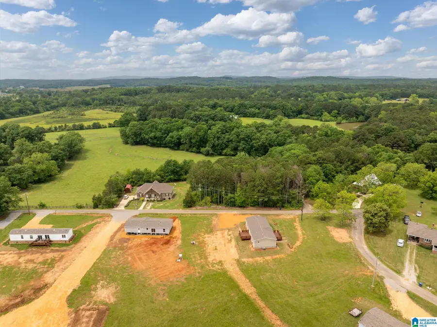 55 S T SMITH COURT, Cropwell, AL 35054 - #3