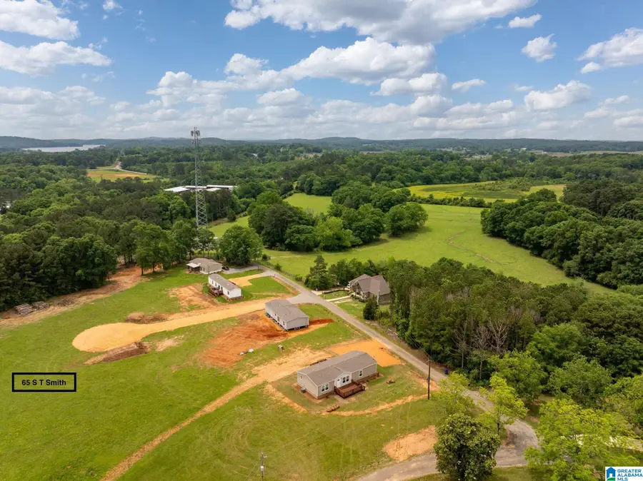 65 S T SMITH COURT, Cropwell, AL 35054 - #2