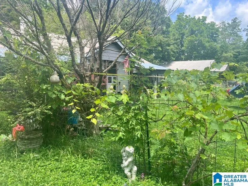 9790 ALABAMA HIGHWAY 174, Odenville, AL 35120 - #2