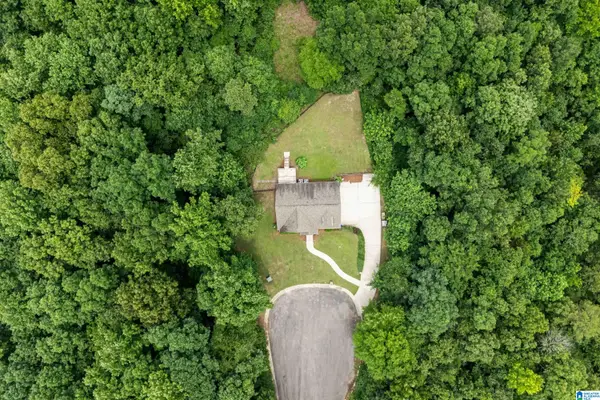 230 RIDGEWOOD LANE, Odenville, AL 35120