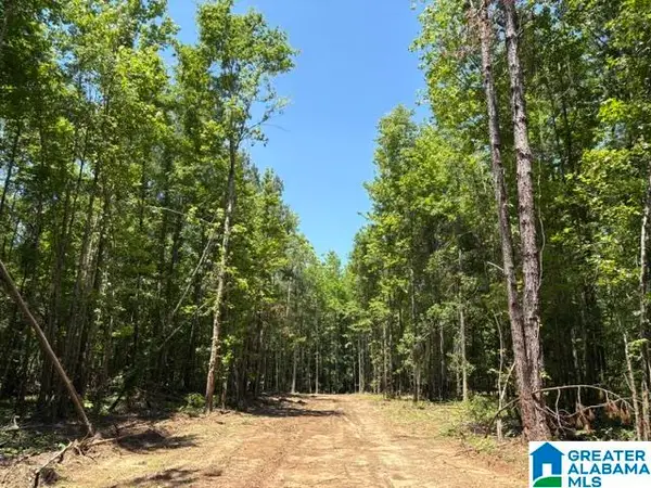0 HIGHWAY 191, Maplesville, AL 36750