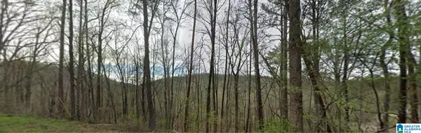 0000 RED VALLEY ROAD, Remlap, AL 35133