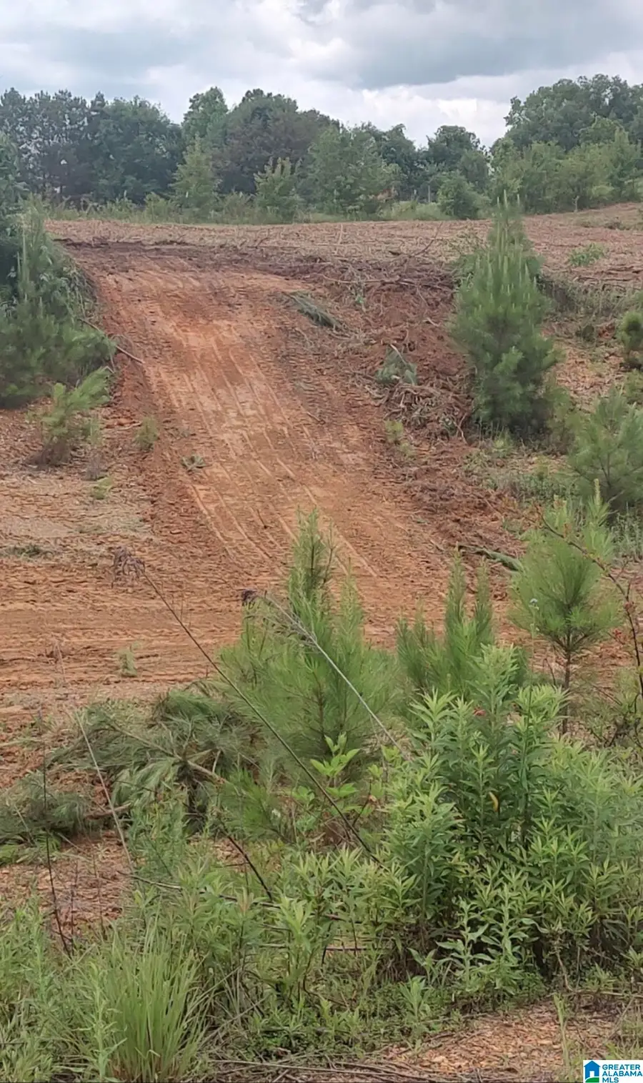 0 COUNTY HIGHWAY 13, Cleveland, AL 35049 - #2