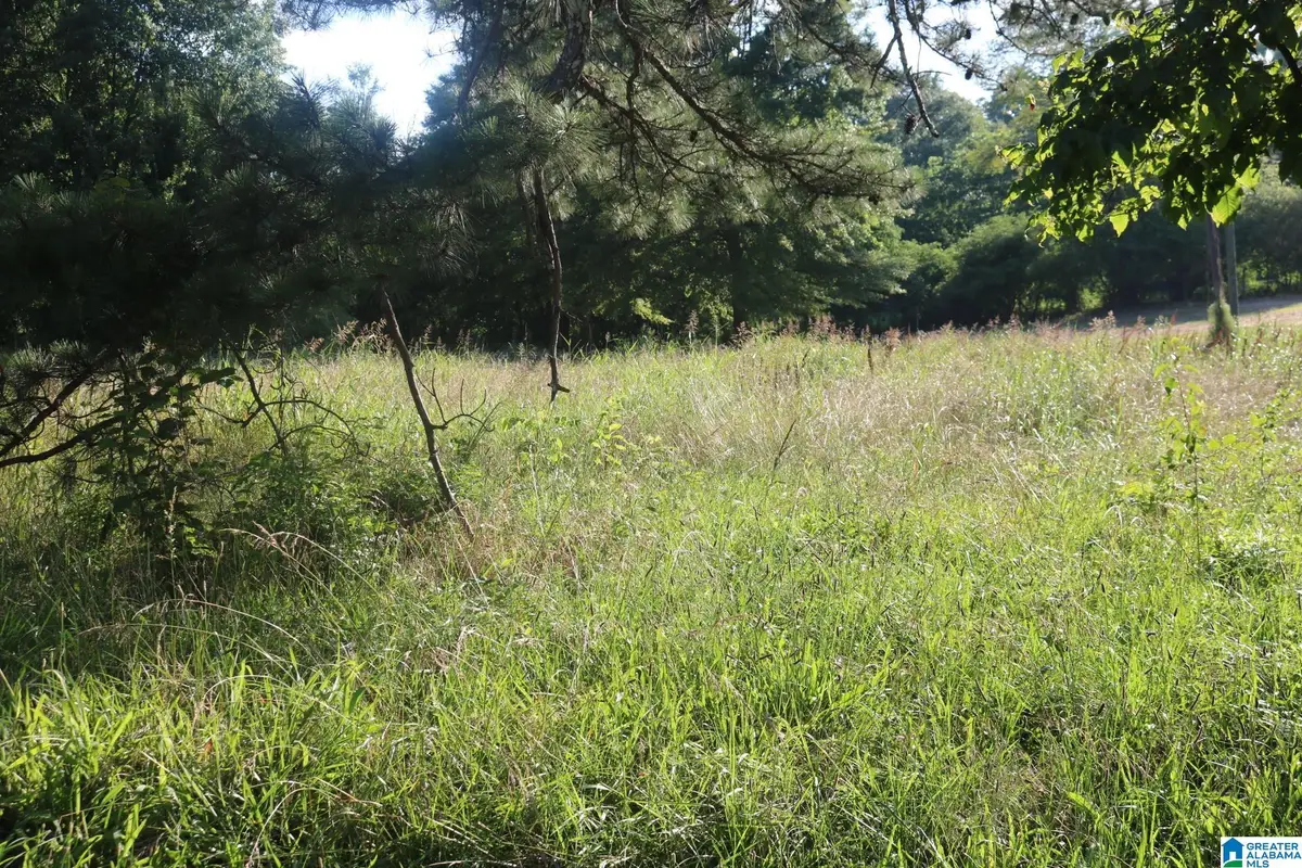 174 POPLAR SPRINGS DRIVE, Sylvan Springs, AL 35118 - #1