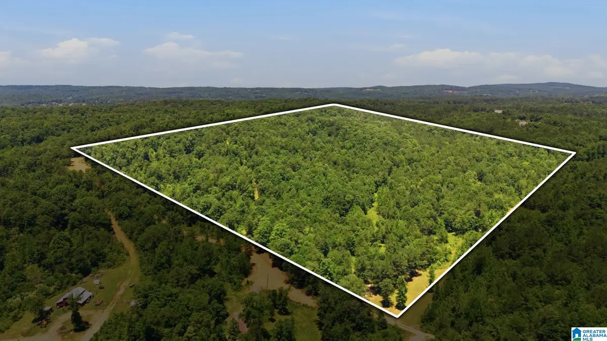 620 LUCAS DRIVE, Hayden, AL 35079 - #1
