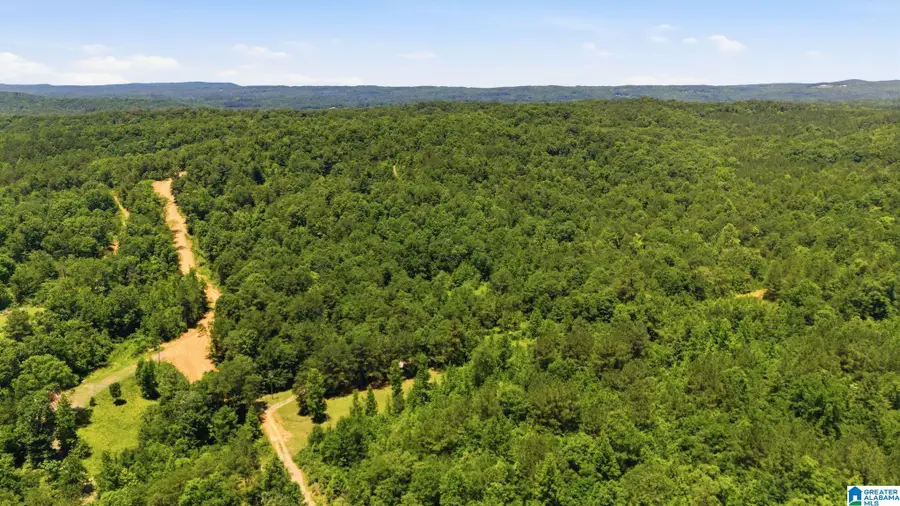 620 LUCAS DRIVE, Hayden, AL 35079 - #2